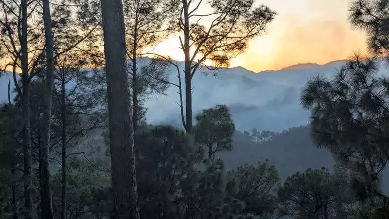 Uttarakhand Tops India's Winter Forest Fire Alerts With 1,900 Incidents