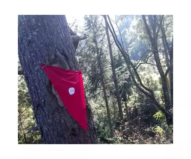 Uttarakhand Villages Revive Ancient Faith-Based Forest Conservation