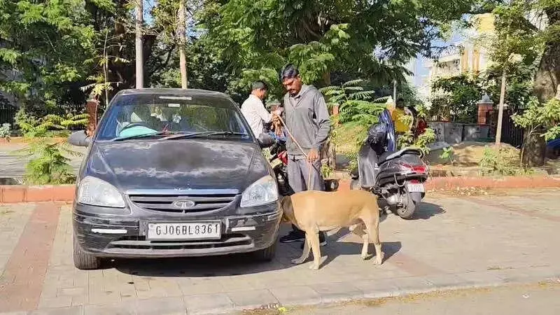 Vadodara Collector's Office Hit by Bomb Hoax Email, Police Probe Khalistan Link
