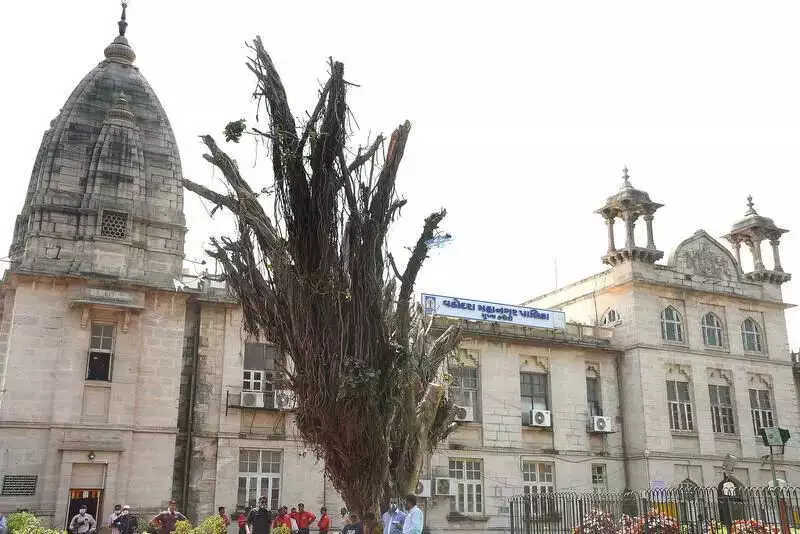 Vadodara Manhole Death: VMC Suspends Engineer, Congress Demands More Accountability