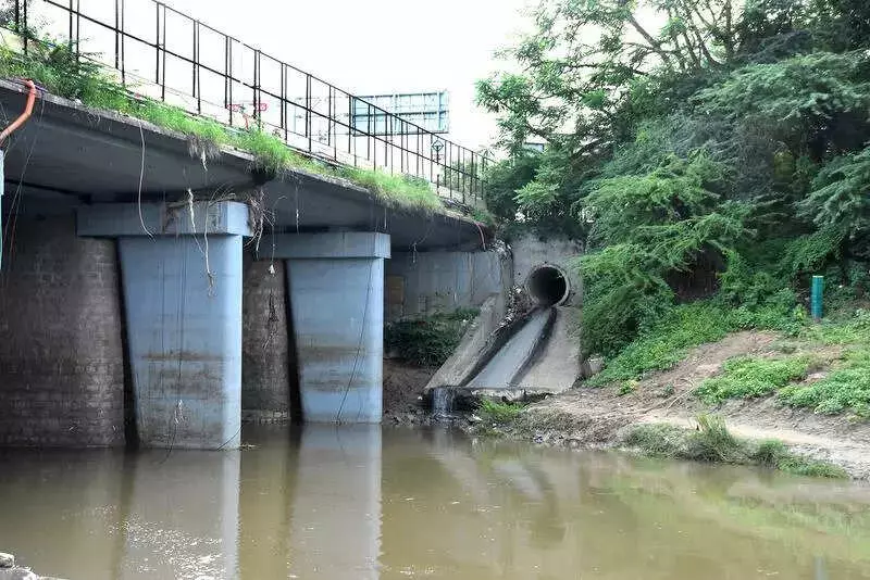 Vadodara's Vishwamitri River: Sewage Inflow Down to 16 MLD, Water Quality Improves