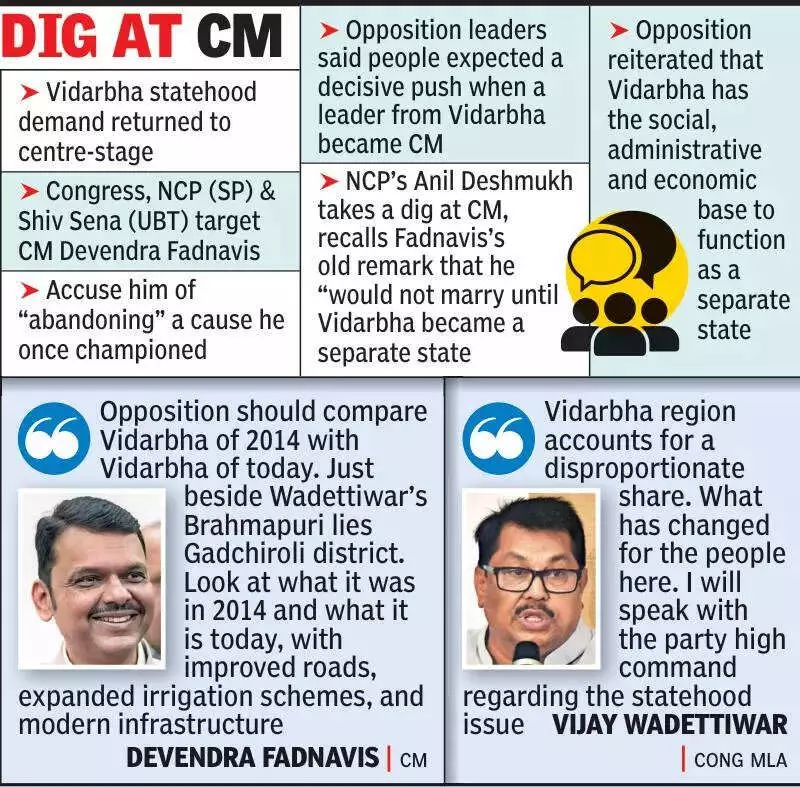Vidarbha Statehood Debate Reignites as Opposition Targets Fadnavis