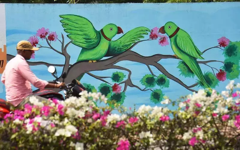 Vijayawada Plants 550 Bougainvillea Saplings to Combat Pollution & Beautify Roads