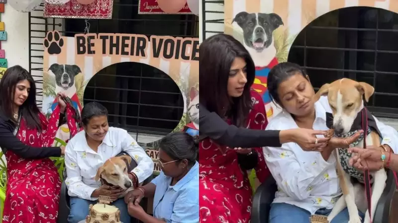 Vijay's First Birthday: A Celebration of Survival and a Cry for Justice