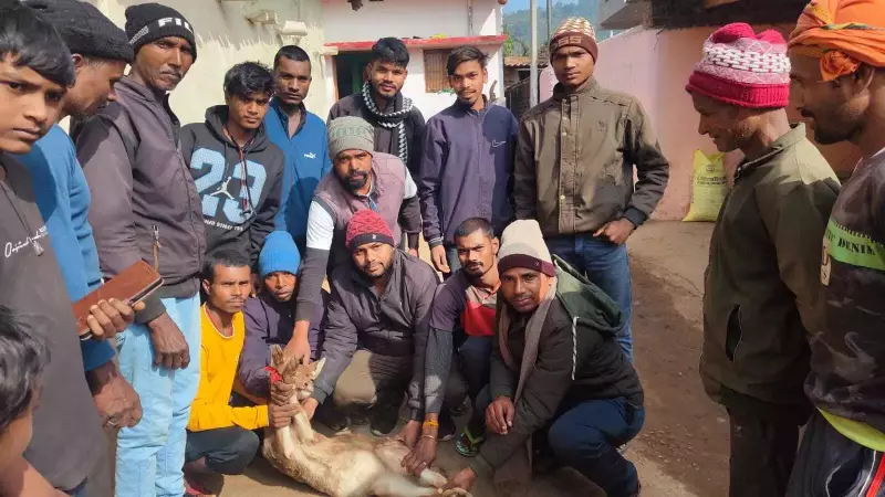 Villagers & Forest Staff Rescue Deer in Chatra, Release It Safely