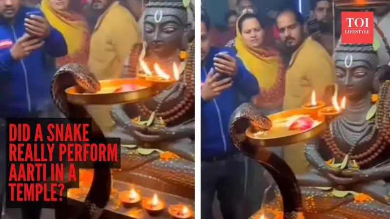 Viral Temple Video: Snake Near Shiva Idol Sparks AI vs Miracle Debate