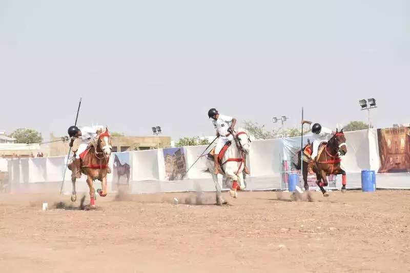 Wankaner Hosts 17th Kama Horse Show, Showcasing Kathiawadi Heritage