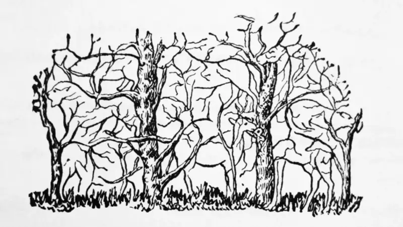 What The Animal You See First In Optical Illusions Reveals About Your Personality