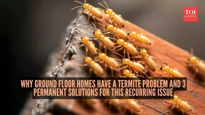 Why Ground-Floor Homes Face High Termite Risk & 3 Permanent Solutions