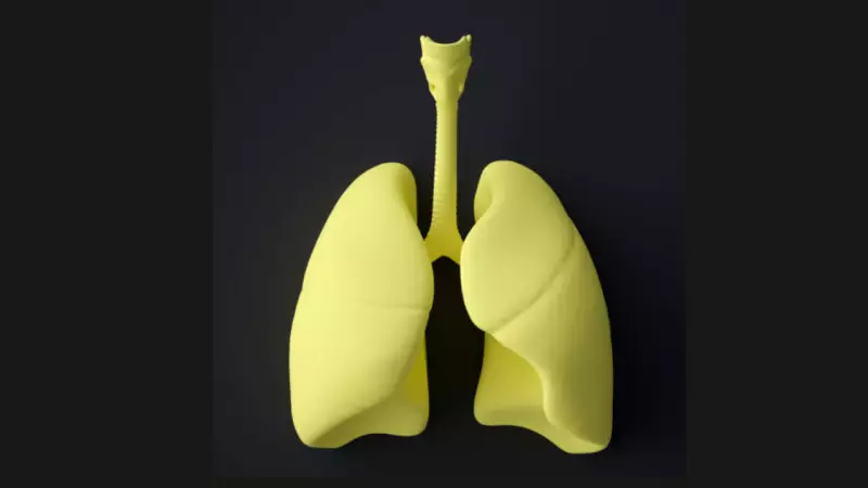 Winter Lung Health: Breaking Smoking's Grip on India's 267 Million Users