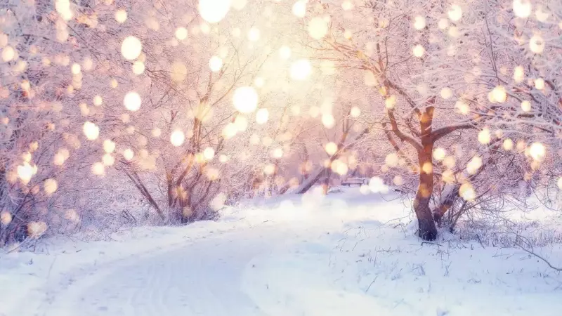 Winter Solstice 2025: Date, Time & Significance of the Shortest Day