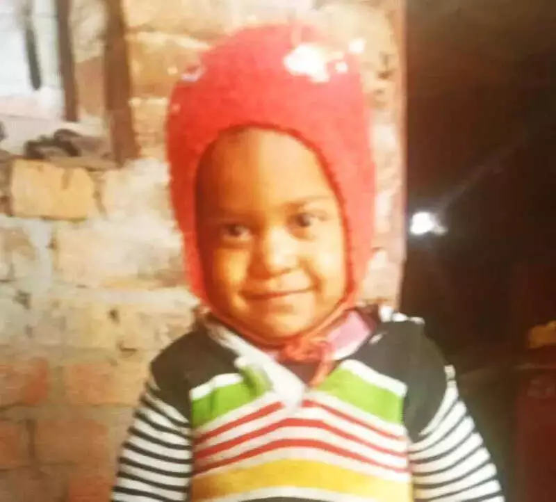 Wolf Kills 3-Year-Old in Bahraich, 13th Death in 3 Months Sparks Panic