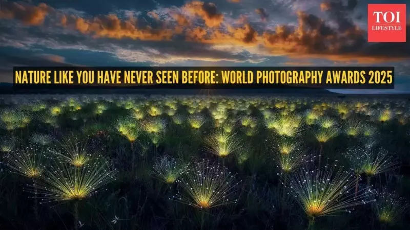 World Nature Photography Awards 2025: Stunning Images Pull Us Back to Reality