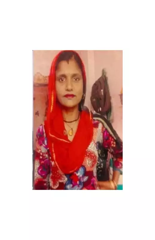 Yamuna Expressway Tragedy: Mother Saves Kids, Loses Life in 19-Vehicle Pileup