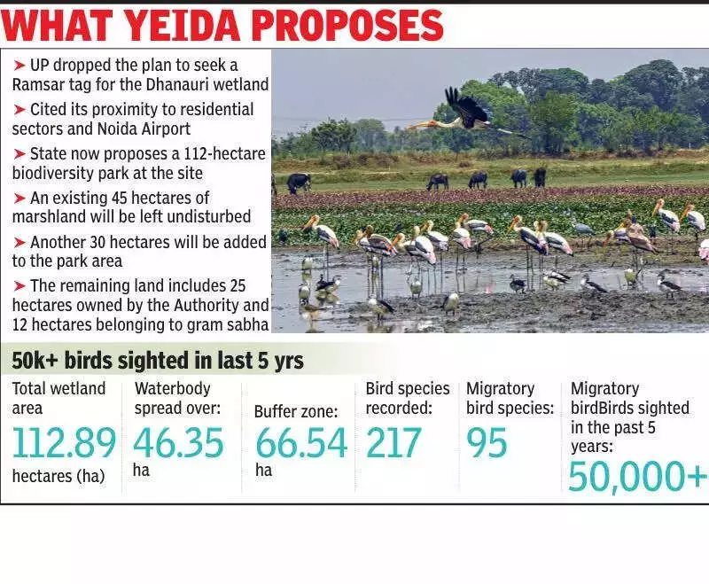 YEIDA Launches Feasibility Study for Dhanauri Wetland Biodiversity Park