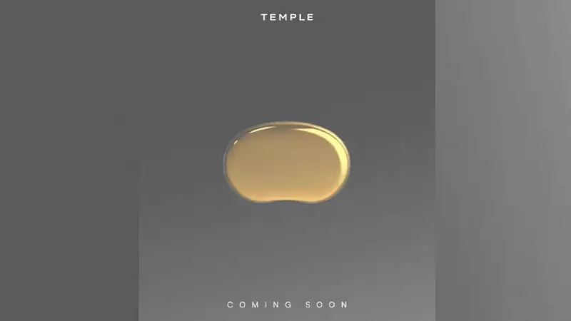 Zomato CEO Deepinder Goyal's 'Temple' Wearable Device for Brain Flow Monitoring Coming Soon