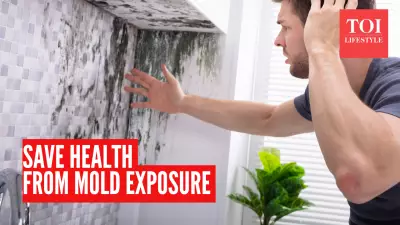 6 Ways to Protect Your Health from Mold Exposure at Home