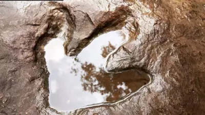 68-Million-Year-Old Dinosaur Footprints Found in Bolivia Reveal Ancient Shoreline Life