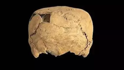 Ancient Cube-Shaped Skull Found in Mexico Reveals New Cultural Practice