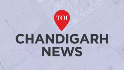 Chandigarh Temperatures Plunge: 5.2°C Drop in Day, Dense Fog Disrupts