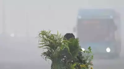 Delhi AQI Hits 403, 'Severe' Pollution and Fog Disrupt Transport