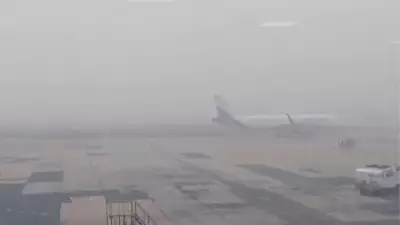 Delhi Fog Lifts: IGI Airport Resumes Smooth Operations After Morning Disruptions