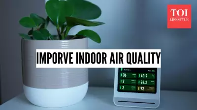 Delhi's Hazardous Air: Expert Tips to Improve Indoor Air Quality