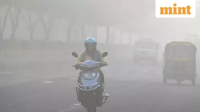 Delhi's 'No PUC, No Fuel' Policy to Stay Post GRAP-IV, 12 Centres Blacklisted