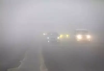Dense Fog Covers North India, Visibility Drops to 20 Metres in Punjab, Haryana