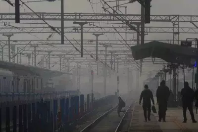 Dense Fog Disrupts Chandigarh: 6 Flights Cancelled, 28 Delayed, Trains Hit
