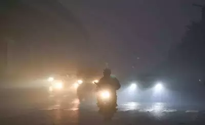 Gurgaon Wakes to Dense Fog, Visibility 50m; IMD Warns of More Foggy Mornings