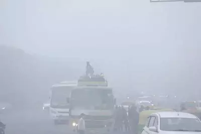 Gurgaon's Coldest Day: Temp Plummets 7°C, Dense Fog Covers City