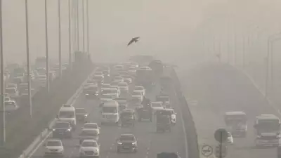 Harvard Study: Ammonium Sulfate Forms 33% of Delhi's Deadly PM2.5 Pollution