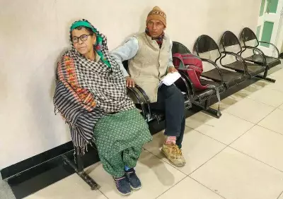 Himachal Doctors' Strike Halts Non-Emergency Care, Surgeries Postponed