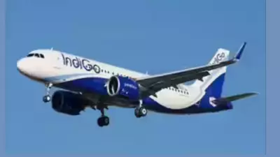 IndiGo Launches Direct Coimbatore-Navi Mumbai Flights from Dec 29, Colombo Service by 2026