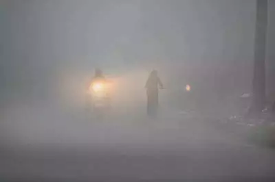 Madhubani Shivers: Cold Wave & Fog Disrupt Life, Schools Delayed Till 11 AM