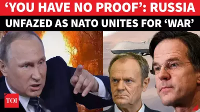 Russia Denies Poland's NATO Airspace Violation Claims, Calls Them 'Baseless'