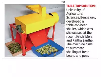 UAS-B Develops Tabletop Machine to Shell 60kg Avarekai Pods Per Hour