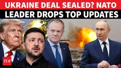 Ukraine Peace Deal Weeks Away? Tusk Reveals US Troops, Land Compromise