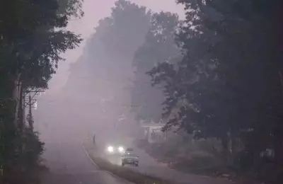 Visakhapatnam: ASR District Shivers at 5.4°C as Dense Fog Disrupts Life