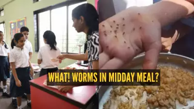 Worms Found in Midday Meal Rice in Karnataka School, Officials Suspend Staff