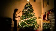 10 Surprising Facts About Christmas: History, Traditions & Global Variations