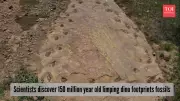 150 Million-Year-Old Limping Dinosaur Tracks Found in Colorado