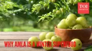 5 Reasons Why Amla Is Your Essential Winter Superfood
