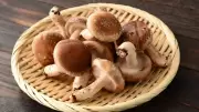 5 Simple Steps to Store Mushrooms & Keep Them Fresh for 7 Days