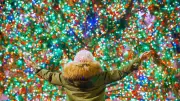 8 Global Cities with Iconic Christmas Tree Traditions You Must See