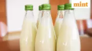 Adulteration Crackdown Fuels Premium Dairy Boom in Urban India