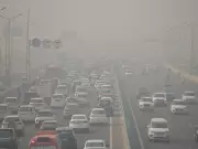 Air Pollution's Dire Impact on Children's Lungs: A Global Health Crisis