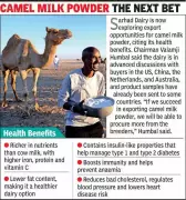Amul's Camel Milk Dream Sours: Stagnant Demand Leaves Gujarat Breeders in Lurch
