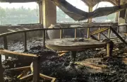 Arpora Nightclub Fire: Locals Describe Harrowing Night, Heroic Acts